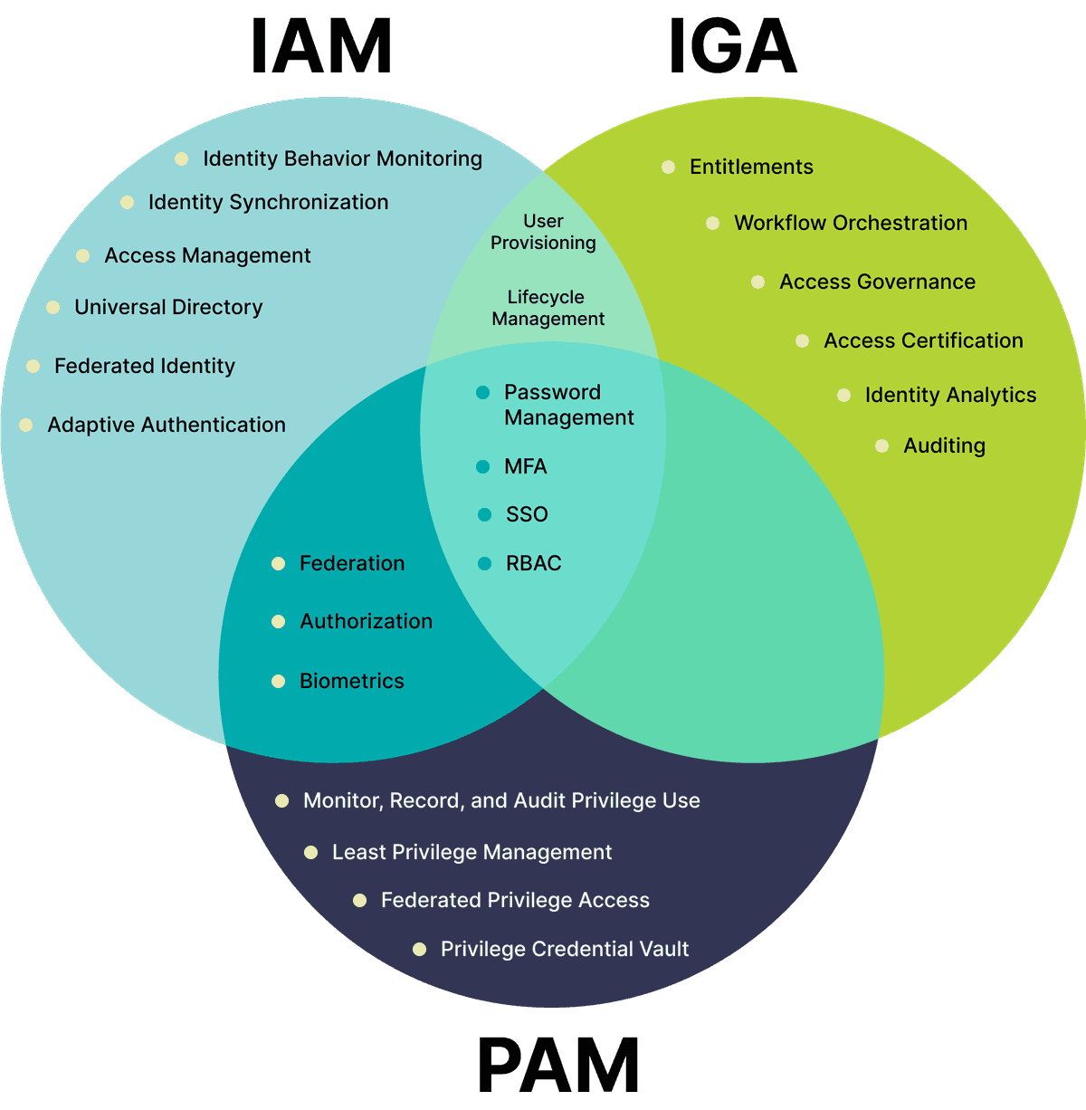 Comparison chart of IAM, IGA, and PAM features for access control, governance, and privileged access
