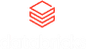 Databricks Partner